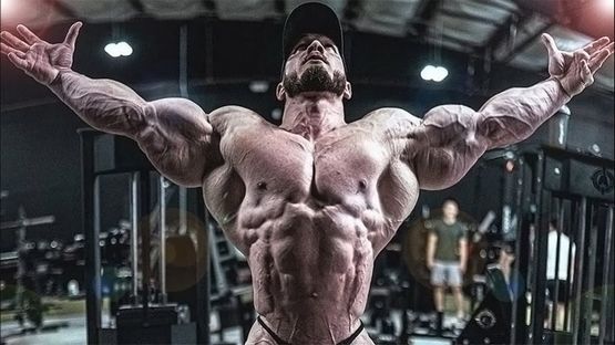 Steroide als unverzichtbare Werkzeuge zur Erreichung idealer Körperproportionen Steroide als unverzichtbare Werkzeuge zur Erreichung idealer Körperproportionen